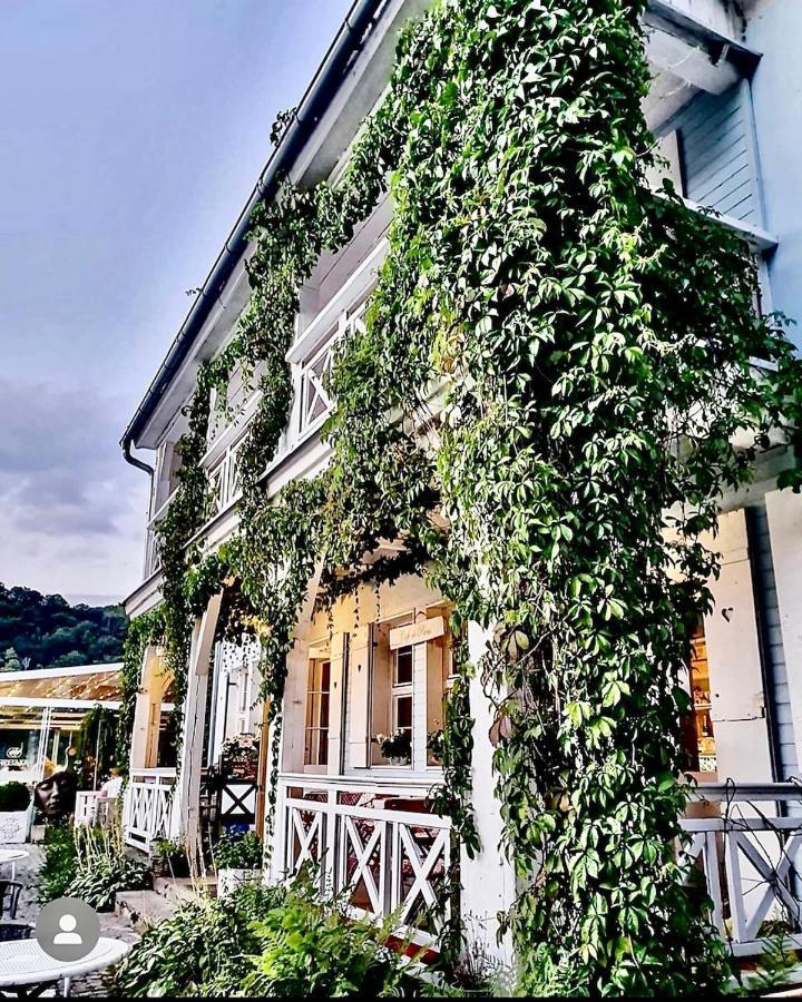 Fregata Bed & Breakfast Zagorze Slaskie Exterior photo